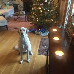 Meet your Posher, Barb